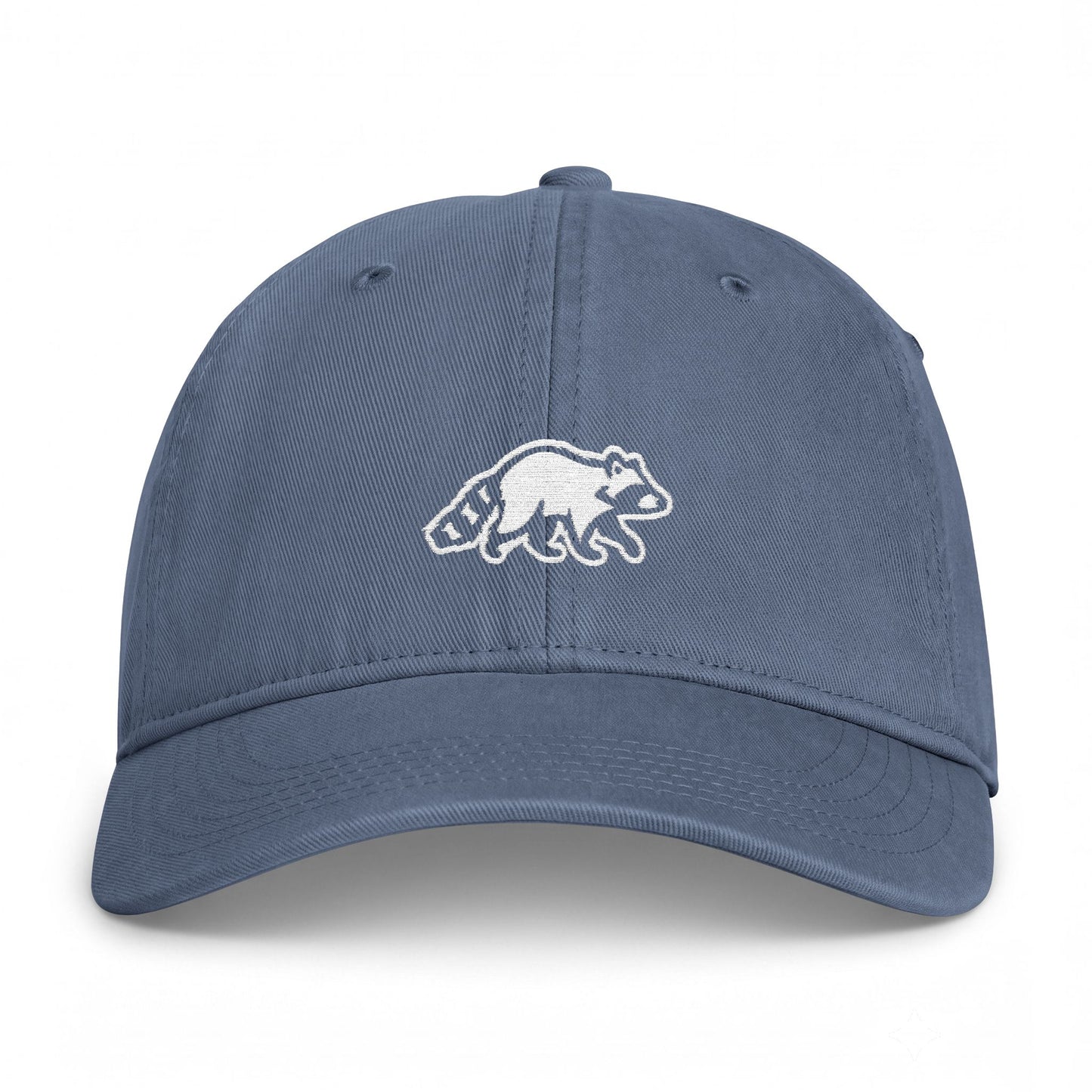 Raccoon Embroidered Vintage Washed Hat