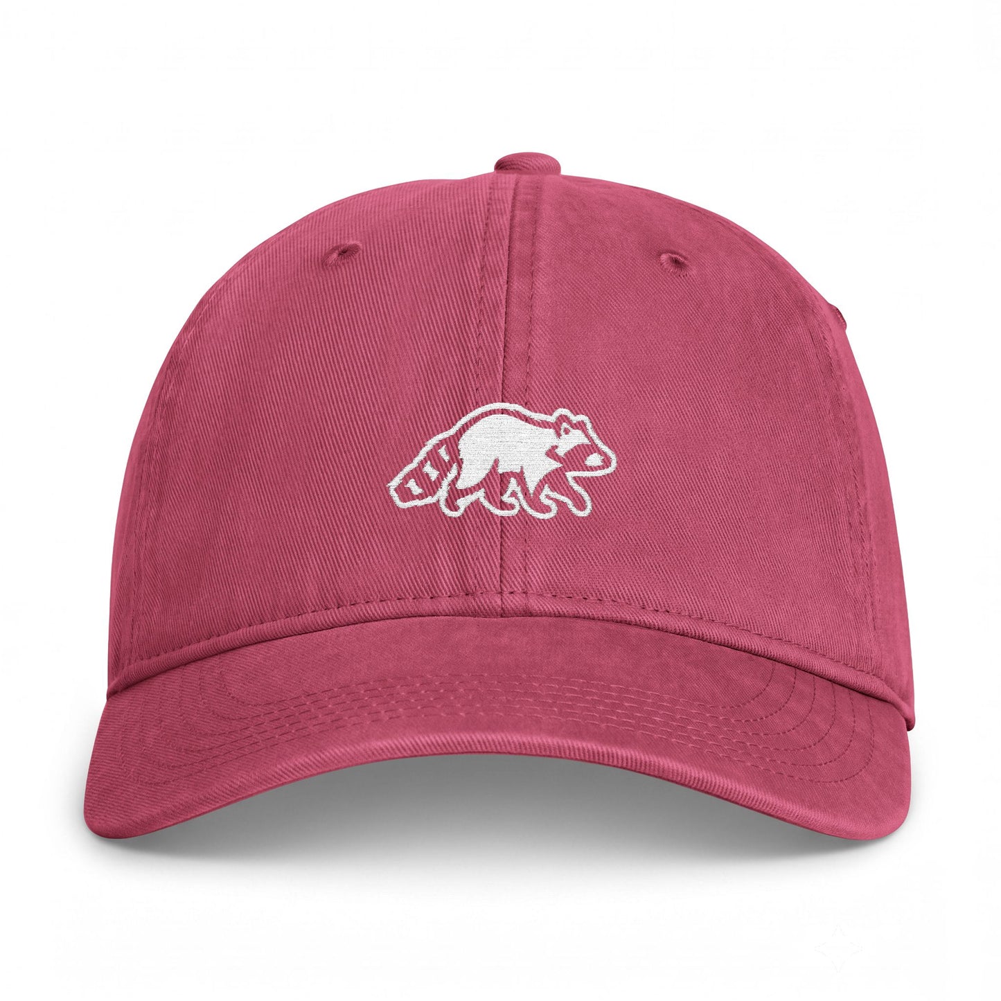Raccoon Embroidered Vintage Washed Hat