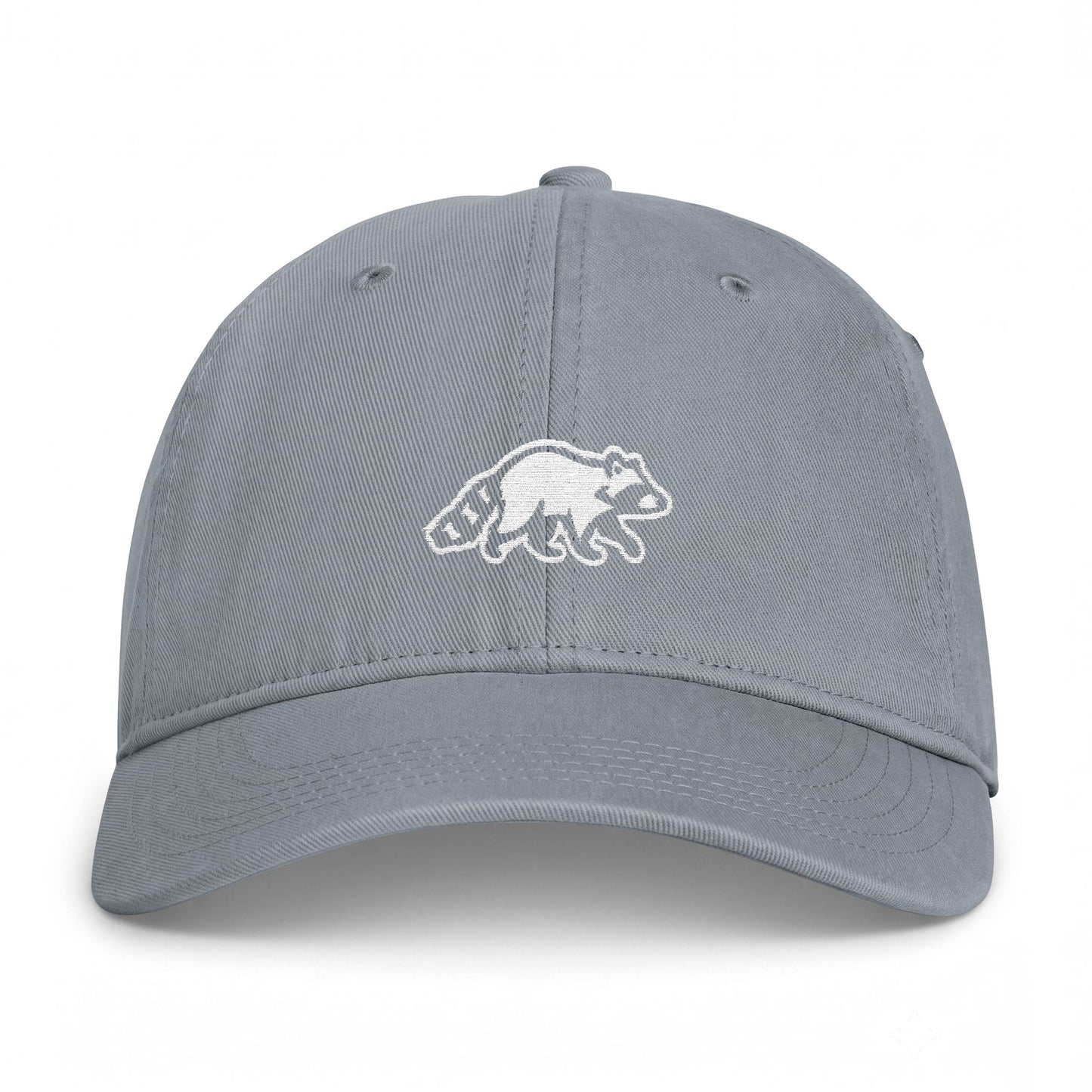 Raccoon Embroidered Vintage Washed Hat