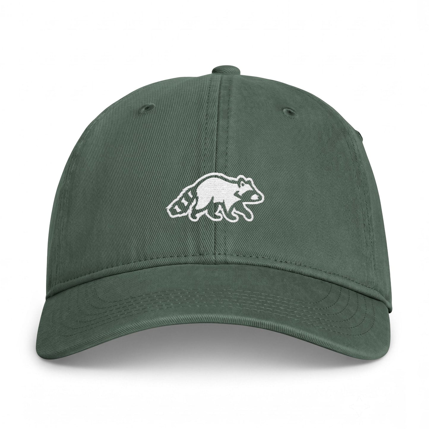 Raccoon Embroidered Vintage Washed Hat